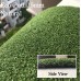 Artificial Grass / Turf / Lawn