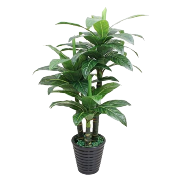 Artificial Plant 002 （Dracaena fragrans)