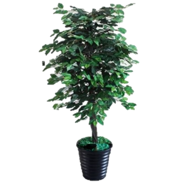 Artificial Plant 008 （Ficus Tree)