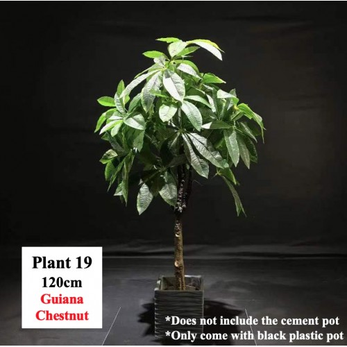 Artificial Plant (60cm to 220cm)