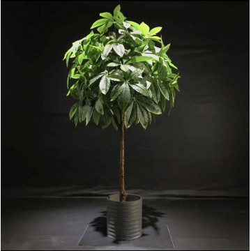 Artificial Plant 019 （Money Tree)