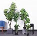 Artificial Plant (60cm to 220cm)