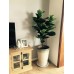 Artificial Plant (60cm to 220cm)