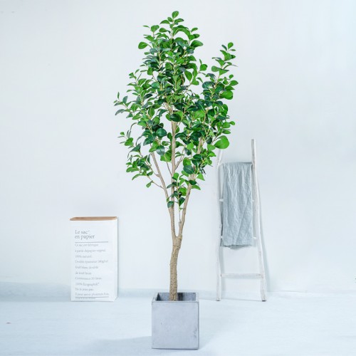 Artificial Plant & Tree