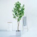 Artificial Plant (60cm to 220cm)