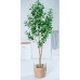 Artificial Plant (60cm to 220cm)