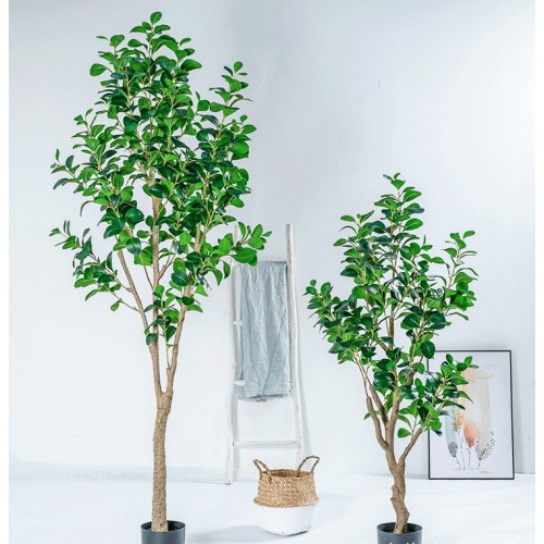 Artificial Plant & Tree