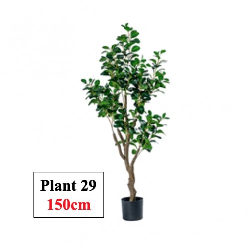 Artificial Plant (60cm to 220cm)