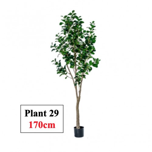 Artificial Plant (60cm to 220cm)