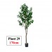 Artificial Plant & Tree