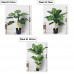 Artificial Plant & Tree