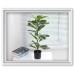 Large Artificial Plant