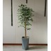 Artificial Plant & Tree