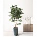 Artificial Plant & Tree