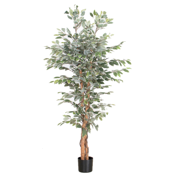 Artificial Plant 052 ( Ficus/ White Side )