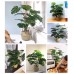 Large Artificial Plant