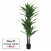 Artificial Plant & Tree