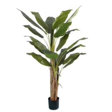 Artificial Plant 068 (  Banana Tree ) 180cm