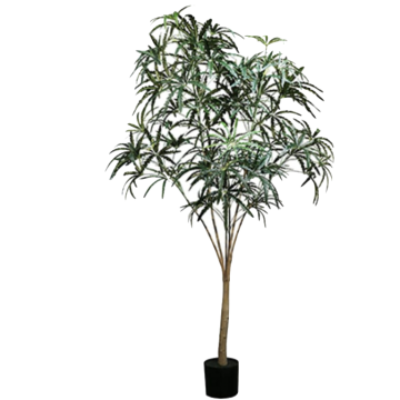 Artificial Plant 072 ( Plerandra Elegantissima )