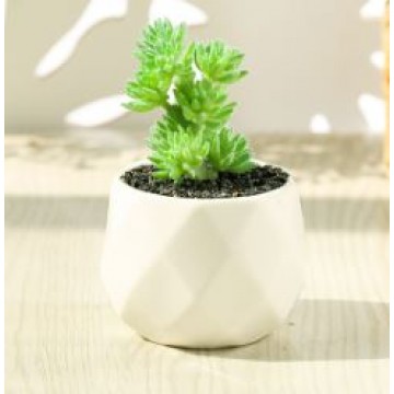 [Succulent 10] Artificial Succulent Plant Table Plant Small Deco Plant
