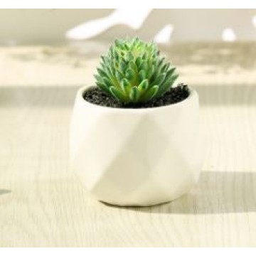 [Succulent 12] Artificial Succulent Plant Table Plant Small Deco Plant