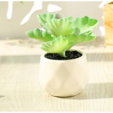 [Succulent 13] Artificial Succulent Plant Table Plant Small Deco Plant