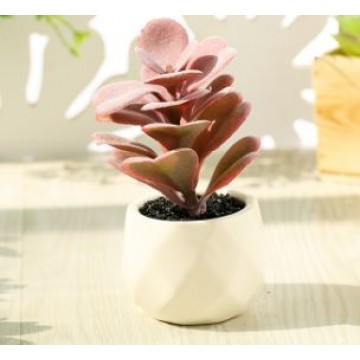 [Succulent 14] Artificial Succulent Plant Table Plant Small Deco Plant