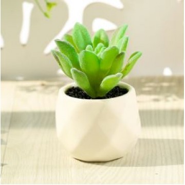 [Succulent 17] Artificial Succulent Plant Table Plant Small Deco Plant
