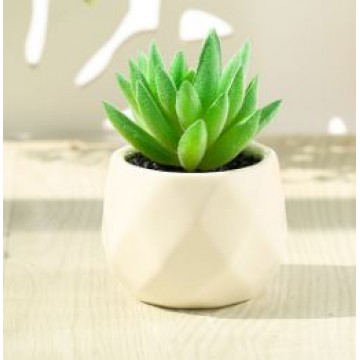[Succulent 18] Artificial Succulent Plant Table Plant Small Deco Plant