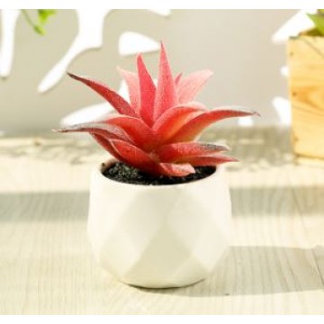 [Succulent 25] Artificial Succulent Plant Table Plant Small Deco Plant