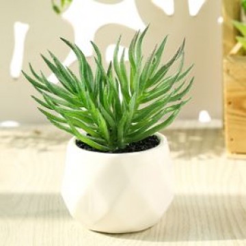 [Succulent 30] Artificial Succulent Plant Table Plant Small Deco Plant