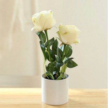 [Type 14 White] Small Potted Artificial Plant Artificial Flower Home Table Plant Room Decoration