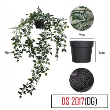 Cascading Hanging Plant with pot [DS 2017][DG]