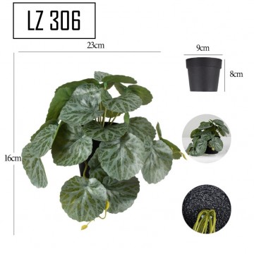 Cascading Hanging Plant with pot [LZ 306]