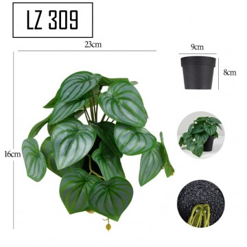 Cascading Hanging Plant with pot [LZ 309]