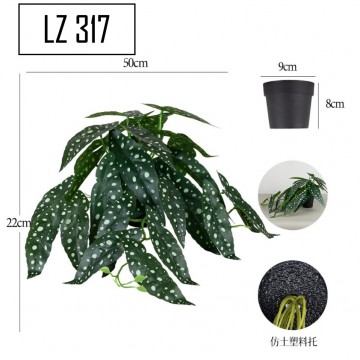 Cascading Hanging Plant with pot [LZ 317]