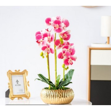 [Dark Pink] 3 Stalks Artificial Phalaenopsis Orchid Big Gold Pot Artificial Flower Plant