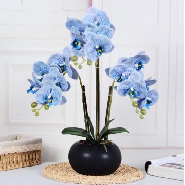 [Blue - Black Round Pot  ] Artificial Orchid in pots Ceramics Pot Orchid  Arrangements