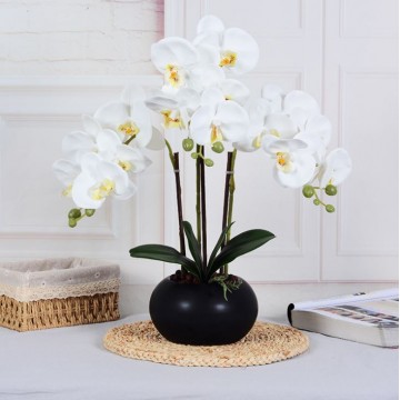 [White- Black Round Pot  ] Artificial Orchid in pots Ceramics Pot Orchid  Arrangements