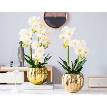 [ White - Diamond Pot Type 1] 2 Stalks / 3 Stalks / 4 Stalks Artificial Phalaenopsis Orchid in Diamond Pot Artificial Flower Plant