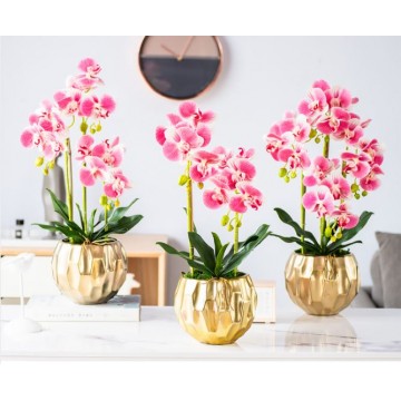 [ Dark Pink - Diamond Pot Type 1] 2 Stalks / 3 Stalks / 4 Stalks Artificial Phalaenopsis Orchid in Diamond Pot Artificial Flower Plant