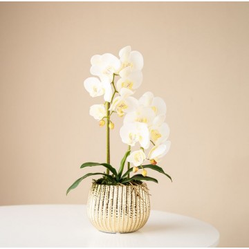 [White - Gold Pot (S) ] 2 Stalks Artificial Phalaenopsis Orchid Stripes Gold Pot Artificial Flower Plant