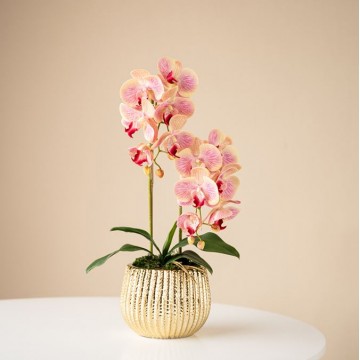 [Light Pink - Gold Pot (S) ] 2 Stalks Artificial Phalaenopsis Orchid Stripes Gold Pot Artificial Flower Plant