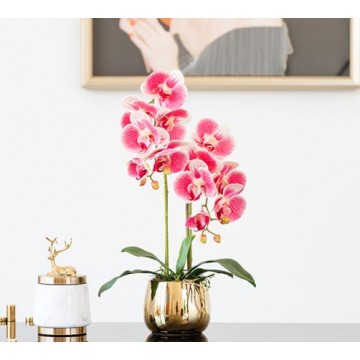[Dark Pink - Pearl Type 1] 2 Stalks Artificial Phalaenopsis Orchid in Gold Pot Artificial Flower Plant
