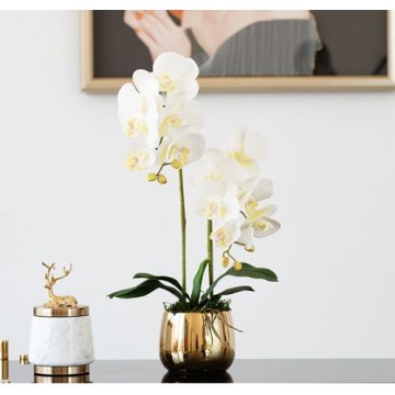 [ White - Pearl Type 1 ] 2 Stalks Artificial Phalaenopsis Orchid in Gold Pot Artificial Flower Plant