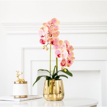 [Light Pink - Pearl Type 2 ] 2 Stalks Artificial Phalaenopsis Orchid in Gold Pot Artificial Flower Plant