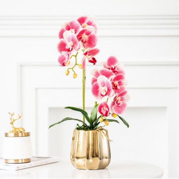 [Dark Pink - Pearl Type 2 ] 2 Stalks Artificial Phalaenopsis Orchid in Gold Pot Artificial Flower Plant