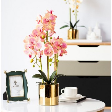 [ Light Pink - Round Golden Pot] 2 Stalks Artificial Phalaenopsis Orchid in Round Gold Pot Artificial Flower Plant