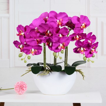 [ Purple- White Pot] Artificial Orchid in pots Ceramics Pot Orchid  Arrangements