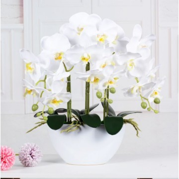 [ White - White Pot] Artificial Orchid in pots Ceramics Pot Orchid  Arrangements
